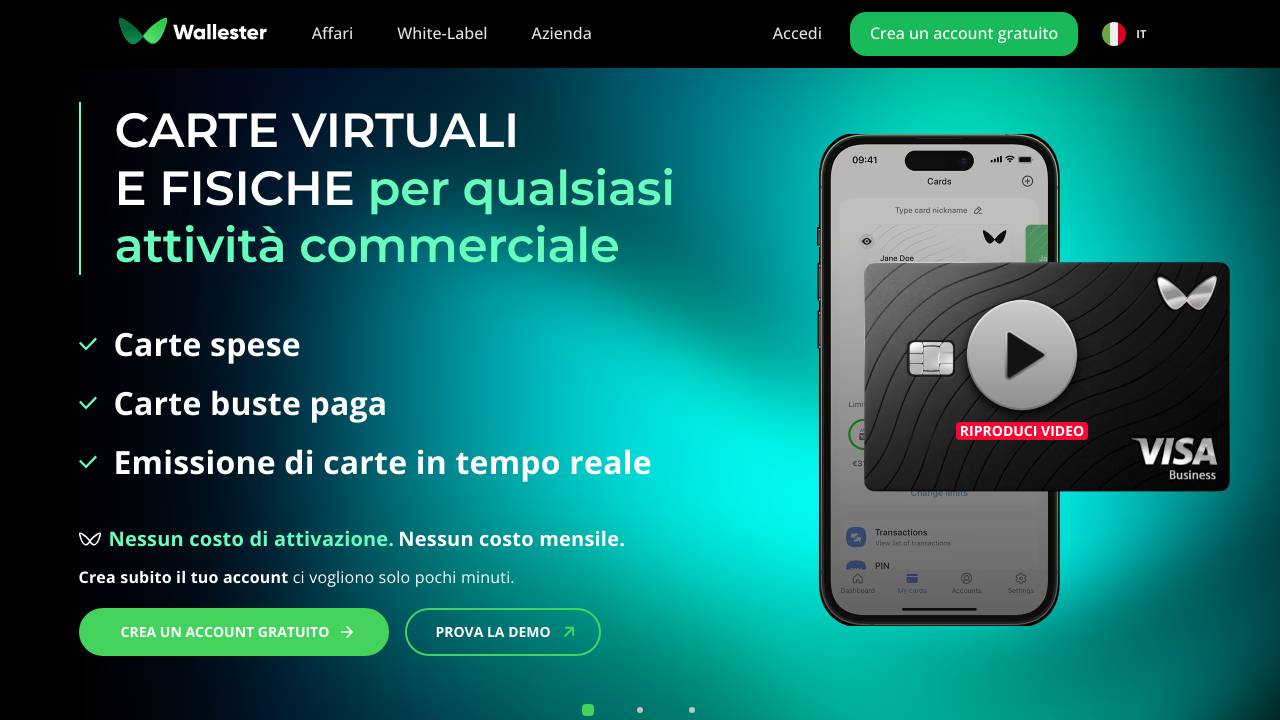Homepage Wallester Carta