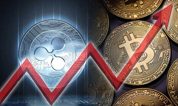 ripple vs bitcoin