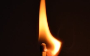 Shiba Inu Burn