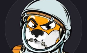 Shiba inu Coin