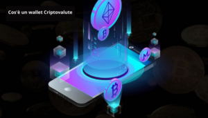 Cos'è un Wallet Criptovalute
