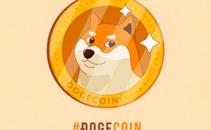 I motivi del cambio logo di Twitter in Dogecoin
