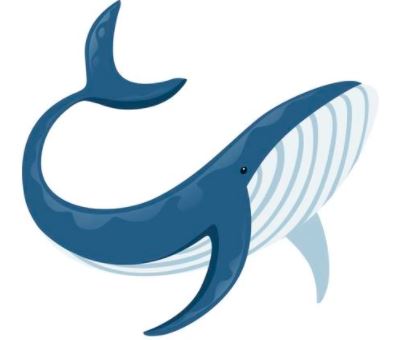 Balene crypto