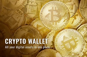 wallet bitcoin