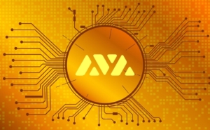 Come comprare Avalanche con gli exchange