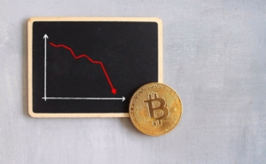 Bear Market Crypto