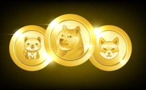Meme coin