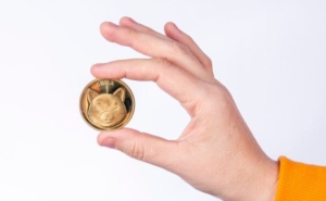 Shiba Inu Coin