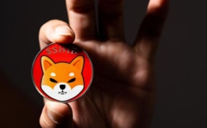 Shiba Inu Burn