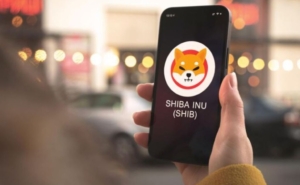 Shiba Inu Coin Metaverso