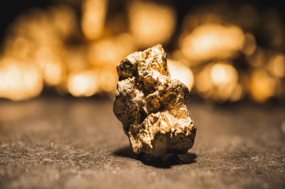 Oncia d'oro