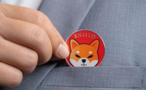 Shiba Inu Coin caratteristiche