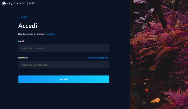Login account NFT