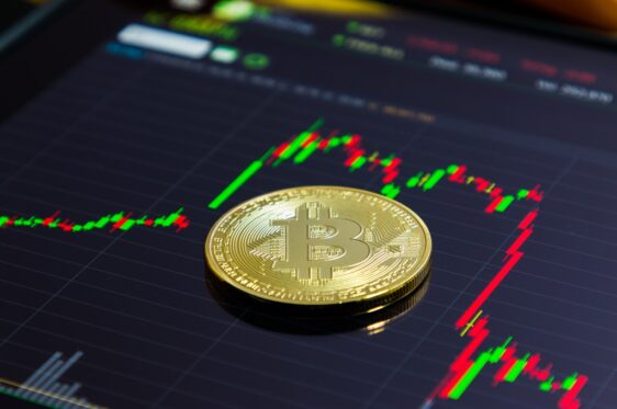 valore bitcoin