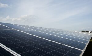 Conviene investire sulla Finanza green?