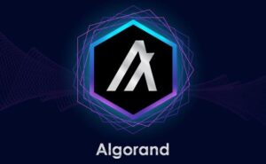 Algorand funzionalità