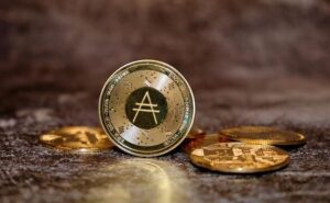 Comprare Cardano conviene