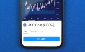 Previsioni USD Coin lungo termine
