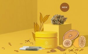 Sundial Growers cosa fa