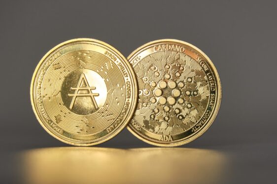 Staking di Cardano