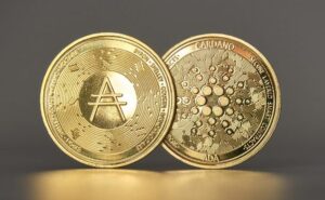 Come funziona Cardano