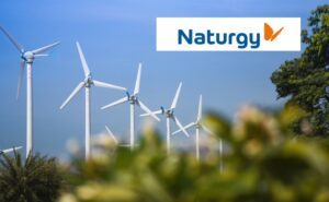 Azioni Naturgy logo