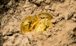 bitcoin halving
