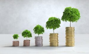 Investire nel crowdfunding