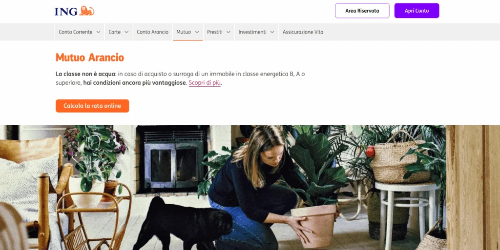 Mutuo Arancio